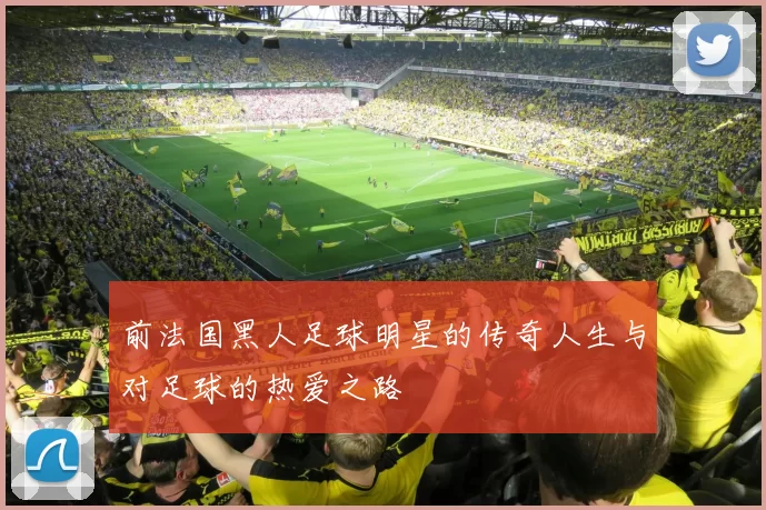 前法国黑人足球明星的传奇人生与对足球的热爱之路