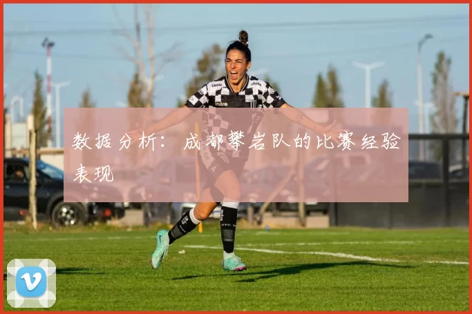数据分析：成都攀岩队的比赛经验表现