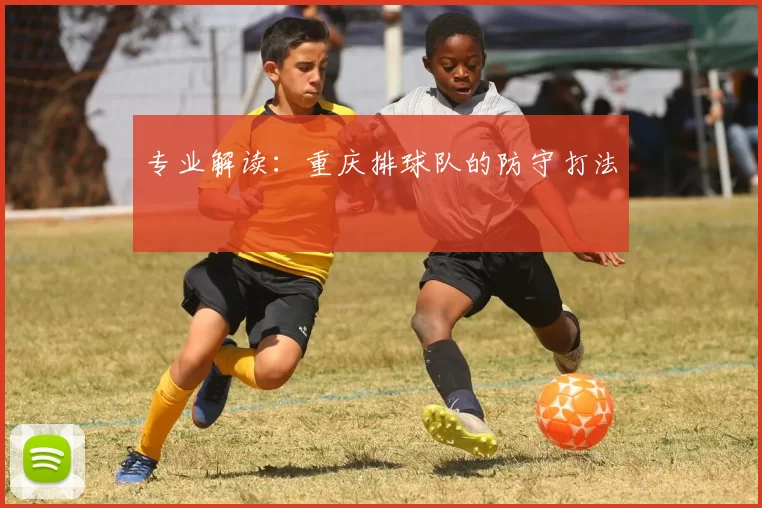 专业解读：重庆排球队的防守打法