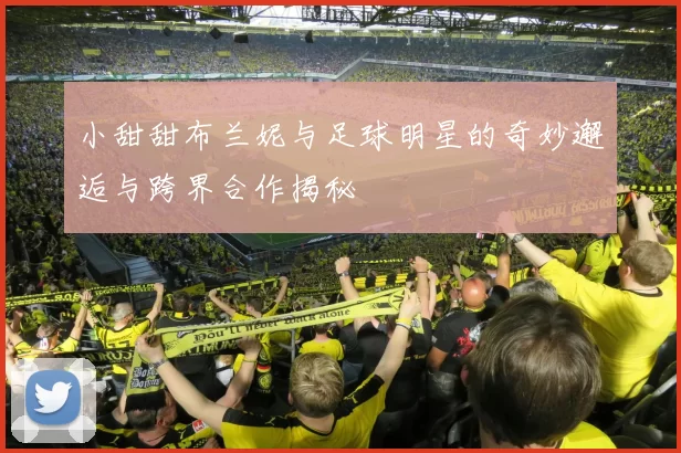 小甜甜布兰妮与足球明星的奇妙邂逅与跨界合作揭秘