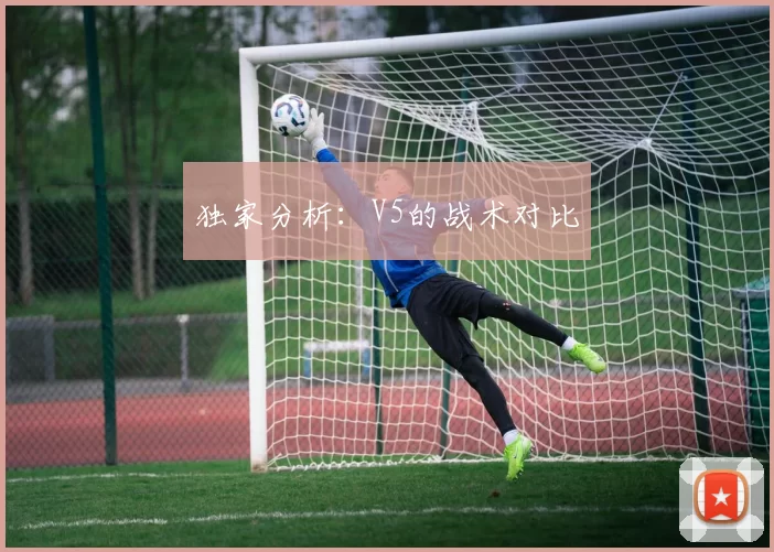 独家分析：V5的战术对比