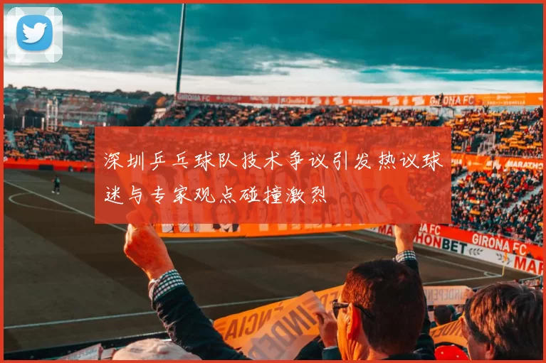 深圳乒乓球队技术争议引发热议球迷与专家观点碰撞激烈