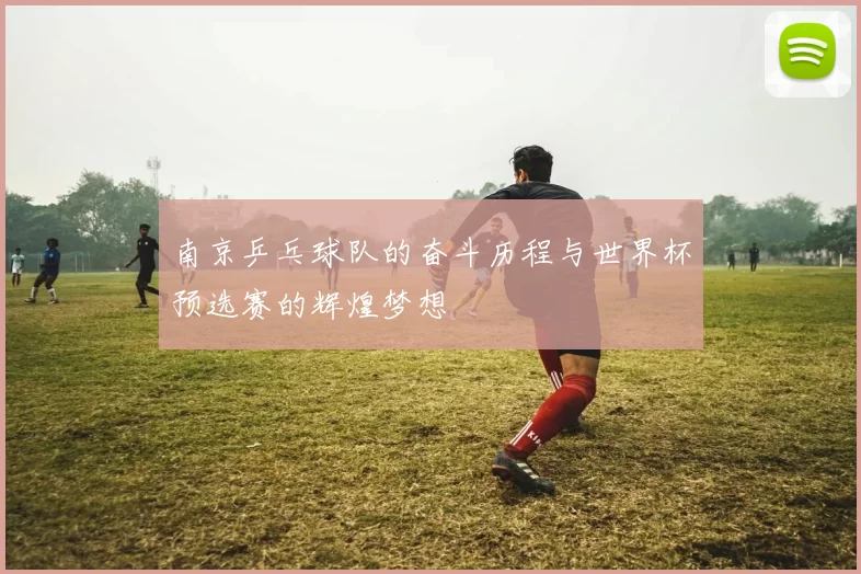 南京乒乓球队的奋斗历程与世界杯预选赛的辉煌梦想