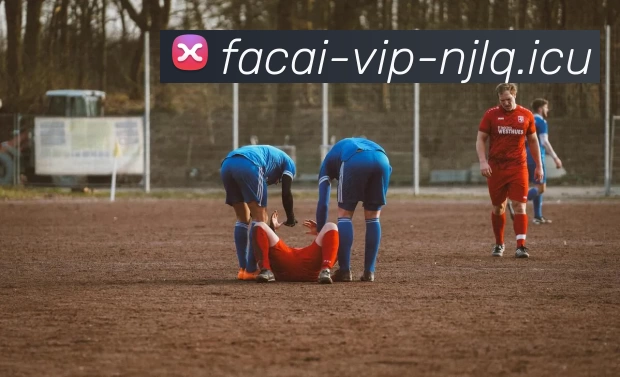 乐鱼体育服务体系